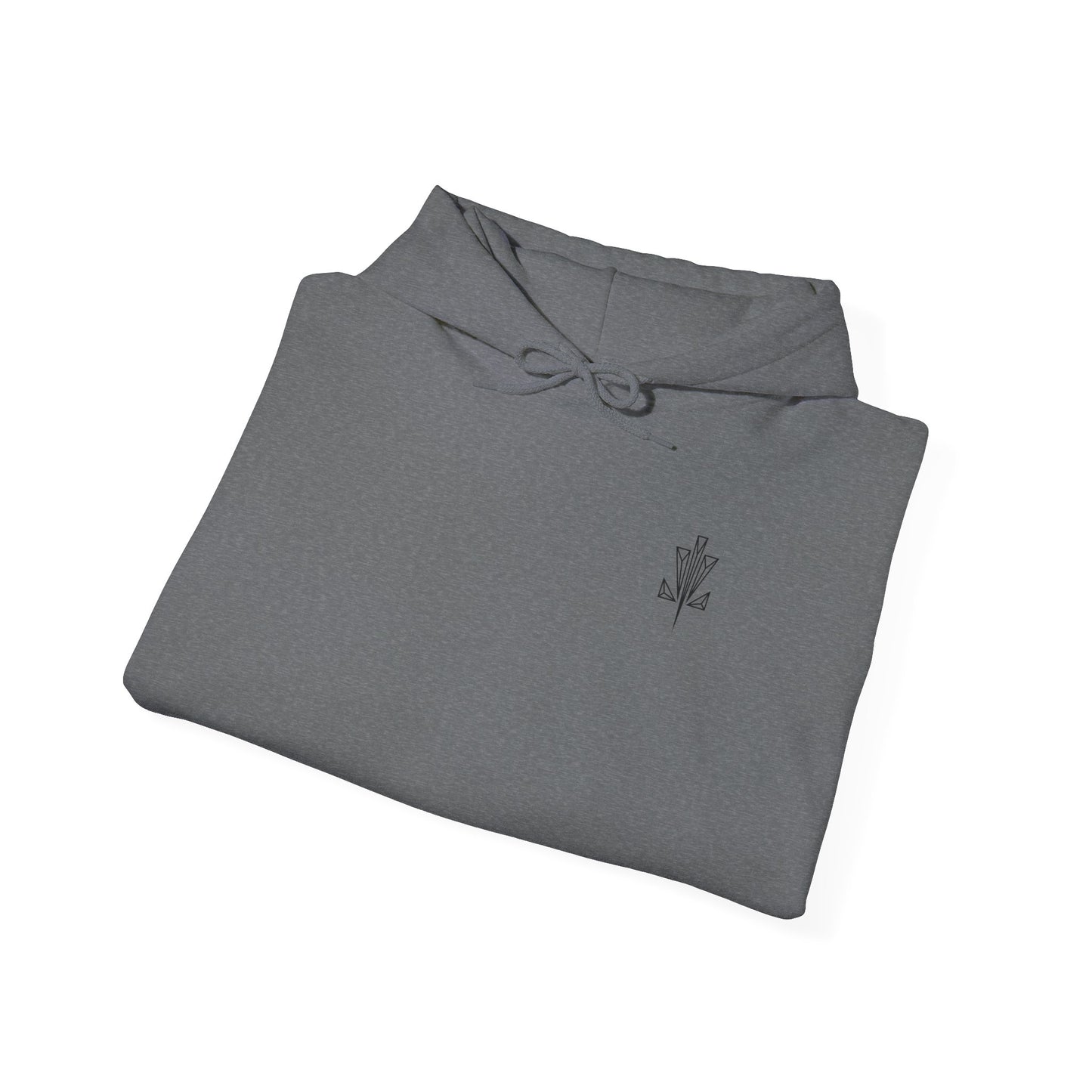Classic heavy hoodie