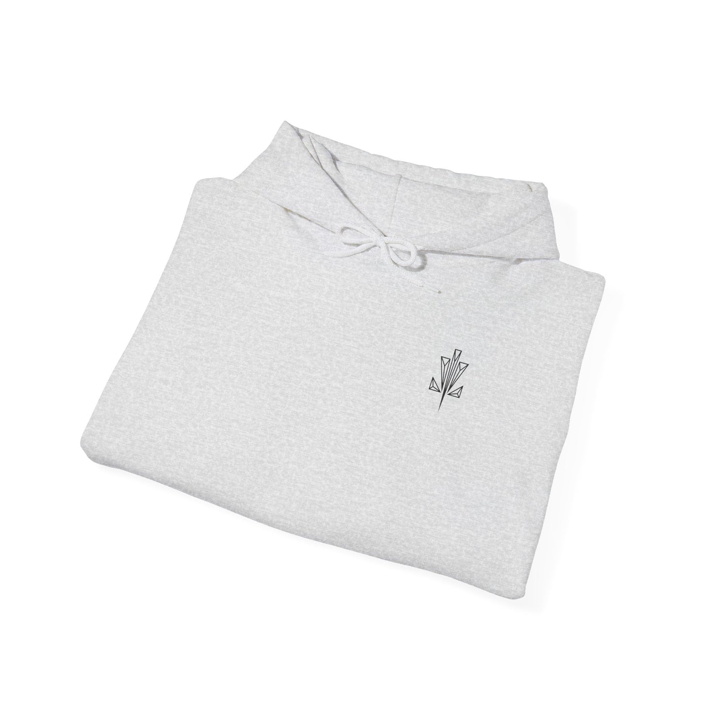 Classic heavy hoodie