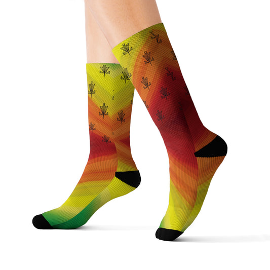 Rasta Socks